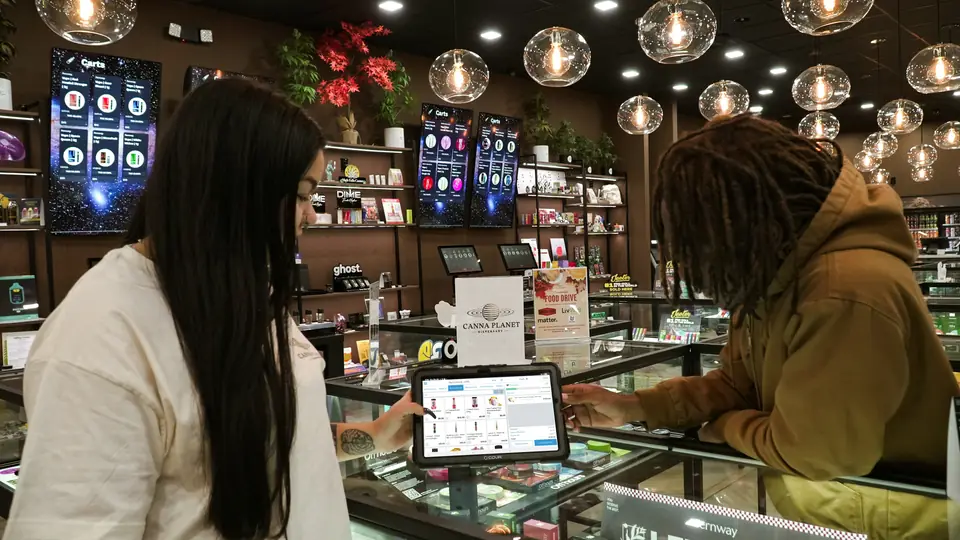 Clean, modern MajorWeed dispensary interior with organized, labeled product displays