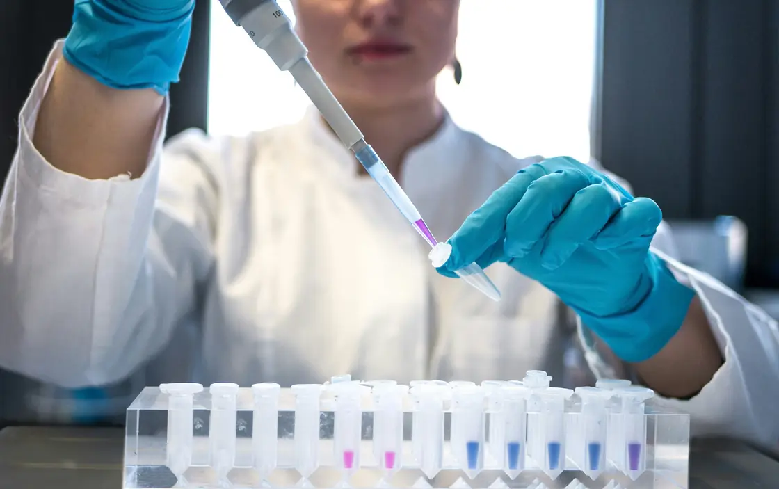 Cannabis lab technician reviewing potency and safety test results at an ISO-accredited testing facility