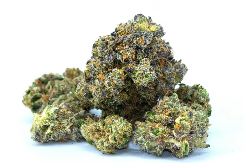 Sativa cannabis flower with bright orange pistils and characteristically slender bud structure